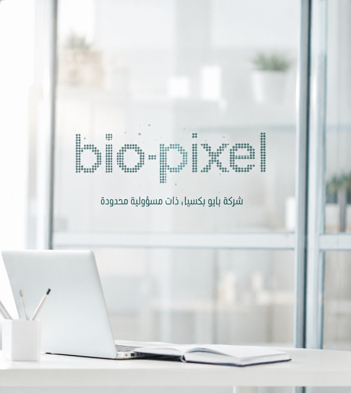 Biopixel consultants reviewing a facility transformation roadmap